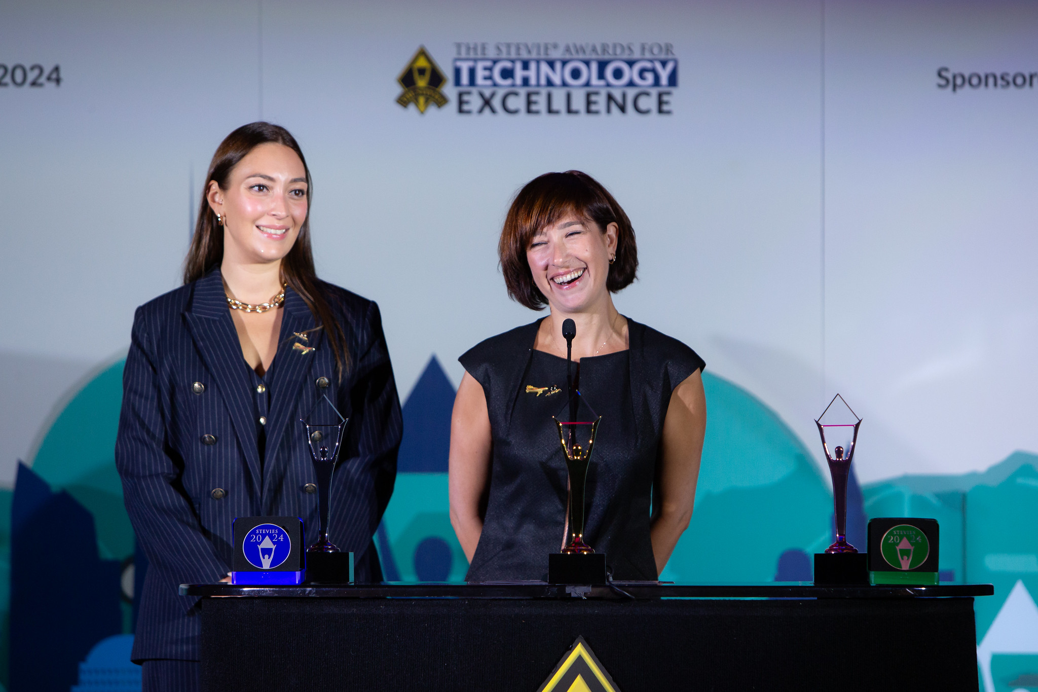 The Stevie® Awards for Technology Excellence 